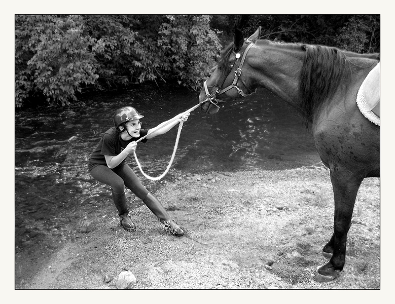 You can lead a horse to water... Lose Your Self In Love